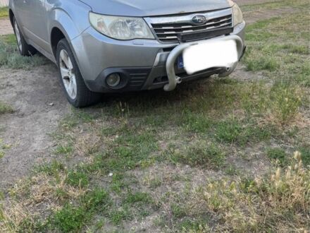 Субару Форестер 2012 в Чернигове на Automoto.ua Серый Субару Форестер, объемом двигателя 2 л и пробегом 356 тыс. км за 4500 $, фото 1 на Automoto.ua