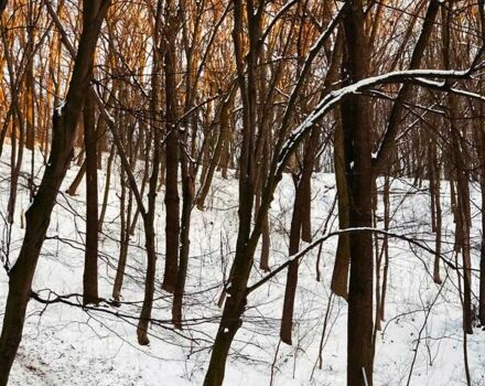 Черный Субару Импреза, объемом двигателя 1.5 л и пробегом 190 тыс. км за 6500 $, фото 4 на Automoto.ua