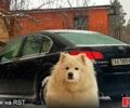 Черный Субару Легаси, объемом двигателя 2 л и пробегом 270 тыс. км за 7200 $, фото 1 на Automoto.ua