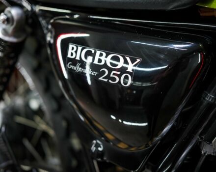 Сузуки Другая, объемом двигателя 0.25 л и пробегом 0 тыс. км за 4000 $, фото 7 на Automoto.ua