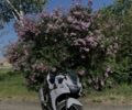 Сузуки Другая, объемом двигателя 0.25 л и пробегом 0 тыс. км за 3300 $, фото 13 на Automoto.ua