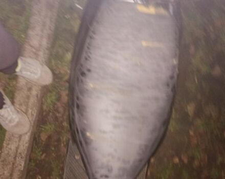 Сузуки Другая, объемом двигателя 65 л и пробегом 0 тыс. км за 57 $, фото 3 на Automoto.ua