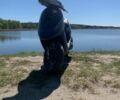 Сузукі Інша, об'ємом двигуна 50 л та пробігом 0 тис. км за 11000 $, фото 1 на Automoto.ua