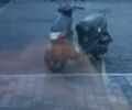 Сузуки Другая, объемом двигателя 65 л и пробегом 0 тыс. км за 231 $, фото 1 на Automoto.ua