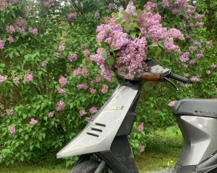 Сузуки Другая, объемом двигателя 50 л и пробегом 0 тыс. км за 116 $, фото 1 на Automoto.ua