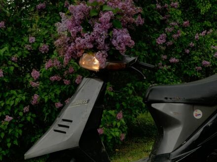 Сузукі Інша 2012 у Турійськ на Automoto.ua Сузукі Інша, об'ємом двигуна 50 л та пробігом 0 тис. км за 116 $, фото 1 на Automoto.ua