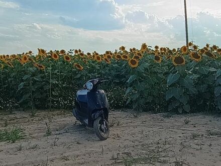 Сузуки Другая, объемом двигателя 49 л и пробегом 0 тыс. км за 550 $, фото 1 на Automoto.ua