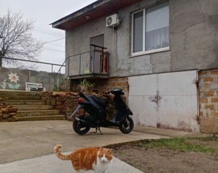 Сузукі Сепія, об'ємом двигуна 65 л та пробігом 0 тис. км за 166 $, фото 7 на Automoto.ua