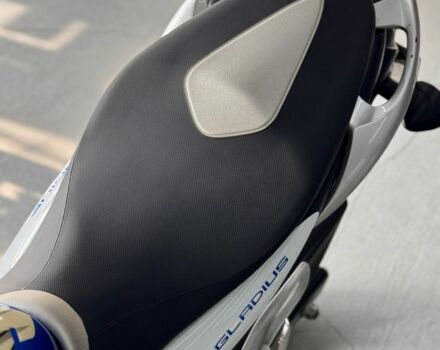 Сузуки Gladius 650, объемом двигателя 0.65 л и пробегом 0 тыс. км за 4400 $, фото 10 на Automoto.ua