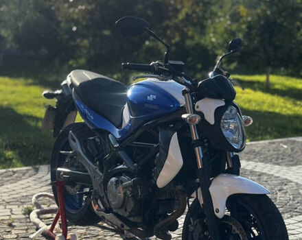 Сузуки Gladius 650, объемом двигателя 0.65 л и пробегом 29 тыс. км за 5000 $, фото 1 на Automoto.ua