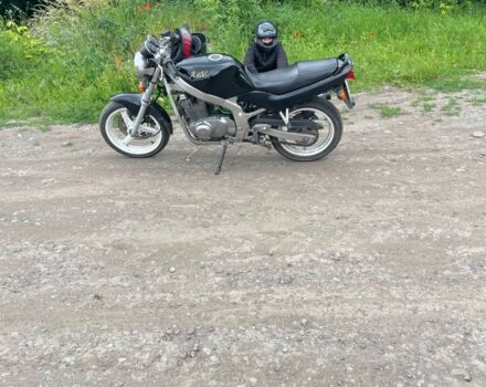 Сузуки GS 500, объемом двигателя 0.5 л и пробегом 0 тыс. км за 2000 $, фото 2 на Automoto.ua