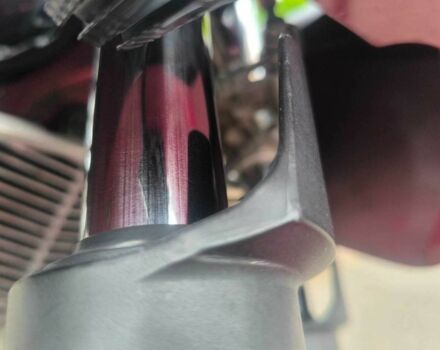 Сузуки GSF 600 Bandit S, объемом двигателя 0.6 л и пробегом 0 тыс. км за 3450 $, фото 3 на Automoto.ua