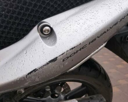 Серый Сузуки GSF 600 Bandit S, объемом двигателя 0.6 л и пробегом 35 тыс. км за 3800 $, фото 28 на Automoto.ua