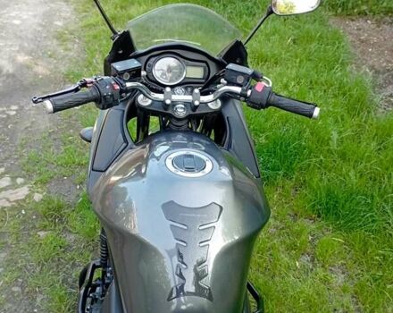 Сузуки GSF 650 Bandit 2010 в Львове на Automoto.ua Серый Сузуки GSF 650 Bandit, объемом двигателя 0.65 л и пробегом 66 тыс. км за 3699 $, фото 9 на Automoto.ua