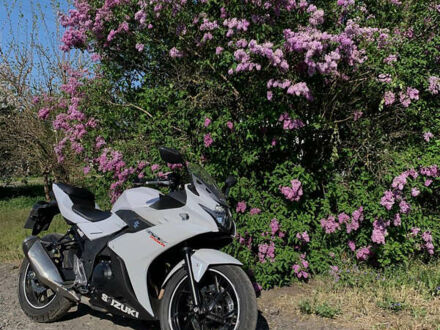 Сузуки GSX 250R 2018 в Кременчуге на Automoto.ua Белый Сузуки GSX 250R, объемом двигателя 0.25 л и пробегом 13 тыс. км за 3300 $, фото 1 на Automoto.ua