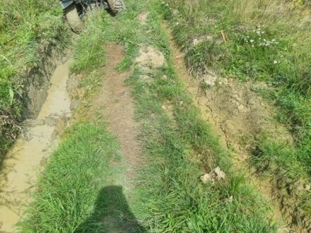 Сузуки KingQuad 750, объемом двигателя 0 л и пробегом 0 тыс. км за 5500 $, фото 1 на Automoto.ua