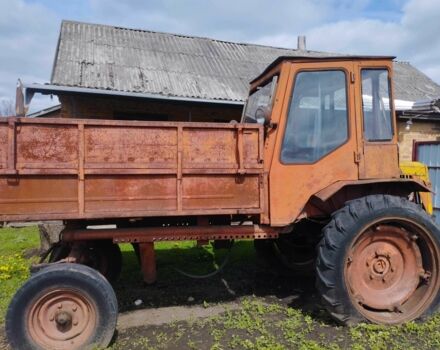 Красный Т 16, объемом двигателя 0 л и пробегом 10 тыс. км за 60000 $, фото 2 на Automoto.ua