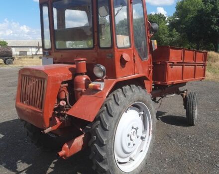 Красный Т 16, объемом двигателя 0 л и пробегом 10 тыс. км за 2500 $, фото 1 на Automoto.ua