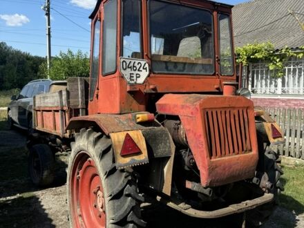 Т 16 2000 у Хмельницькому на Automoto.ua Червоний Т 16, об'ємом двигуна 0 л та пробігом 10 тис. км за 1850 $, фото 1 на Automoto.ua
