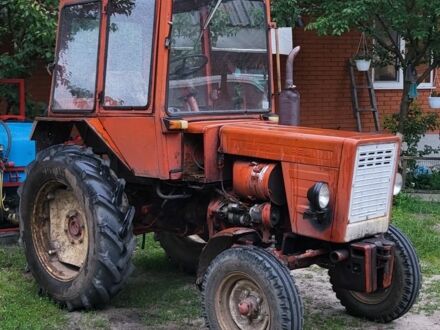 Т 25 1987 у Сарнах на Automoto.ua Червоний Т 25, об'ємом двигуна 0 л та пробігом 10 тис. км за 3500 $, фото 1 на Automoto.ua