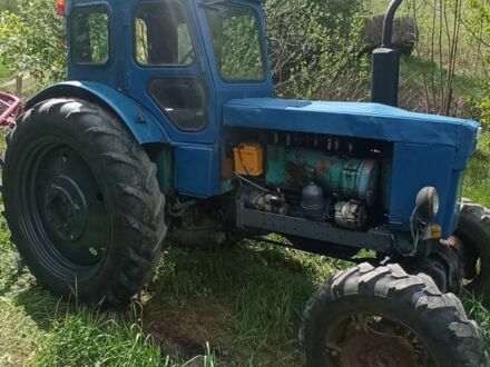 Т 40АМ 1980 у Рахове на Automoto.ua Синій Т 40АМ, об'ємом двигуна 0 л та пробігом 10 тис. км за 3800 $, фото 1 на Automoto.ua