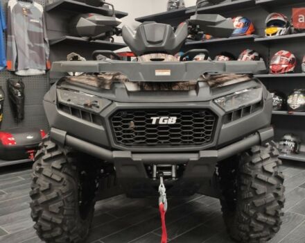 ТГБ Блейд, объемом двигателя 0.56 л и пробегом 0 тыс. км за 11628 $, фото 3 на Automoto.ua