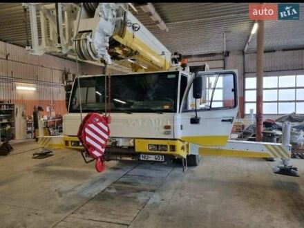 Тадано АТФ 2006 в Львове на Automoto.ua Тадано АТФ, объемом двигателя 0 л и пробегом 170 тыс. км за 140000 $, фото 1 на Automoto.ua