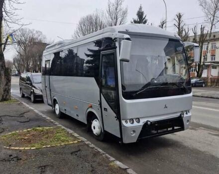Темза авто Престиж 2008 в Мукачеве на Automoto.ua Серый Темза авто Престиж, объемом двигателя 4 л и пробегом 400 тыс. км за 27000 $, фото 16 на Automoto.ua