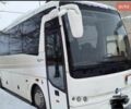 Белый Темза авто MD9, объемом двигателя 0 л и пробегом 470 тыс. км за 39000 $, фото 2 на Automoto.ua