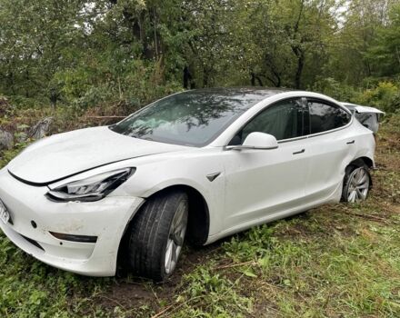 Тесла Модель 3 2018 в Кременце на Automoto.ua Белый Тесла Модель 3, объемом двигателя 0 л и пробегом 200 тыс. км за 6000 $, фото 1 на Automoto.ua