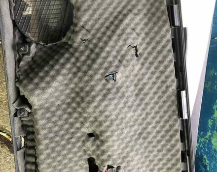 Белый Тесла Модель 3, объемом двигателя 0 л и пробегом 75 тыс. км за 25799 $, фото 34 на Automoto.ua