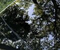 Білий Тесла Модель 3, об'ємом двигуна 0 л та пробігом 93 тис. км за 16999 $, фото 22 на Automoto.ua