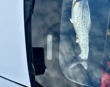 Білий Тесла Модель 3, об'ємом двигуна 0 л та пробігом 120 тис. км за 18900 $, фото 12 на Automoto.ua