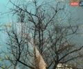 Белый Тесла Модель 3, объемом двигателя 0 л и пробегом 143 тыс. км за 15000 $, фото 37 на Automoto.ua