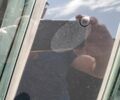 Белый Тесла Модель 3, объемом двигателя 0 л и пробегом 105 тыс. км за 20300 $, фото 19 на Automoto.ua