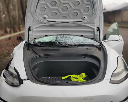 Белый Тесла Модель 3, объемом двигателя 0 л и пробегом 61 тыс. км за 9999 $, фото 1 на Automoto.ua