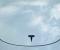 Белый Тесла Модель 3, объемом двигателя 0 л и пробегом 43 тыс. км за 17500 $, фото 15 на Automoto.ua