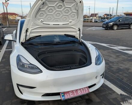 Тесла Модель 3 2021 в Луцке на Automoto.ua Белый Тесла Модель 3, объемом двигателя 0 л и пробегом 170 тыс. км за 17000 $, фото 2 на Automoto.ua