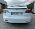 Белый Тесла Модель 3, объемом двигателя 0 л и пробегом 30 тыс. км за 23500 $, фото 18 на Automoto.ua
