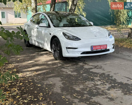 Тесла Модель 3 2022 в Дубно на Automoto.ua Белый Тесла Модель 3, объемом двигателя 0 л и пробегом 57 тыс. км за 22700 $, фото 11 на Automoto.ua