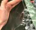Білий Тесла Модель 3, об'ємом двигуна 0 л та пробігом 56 тис. км за 17250 $, фото 21 на Automoto.ua