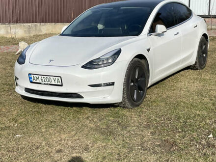 Тесла Модель 3 2019 в Житомире на Automoto.ua Белый Тесла Модель 3, объемом двигателя 0 л и пробегом 91 тыс. км за 17100 $, фото 1 на Automoto.ua