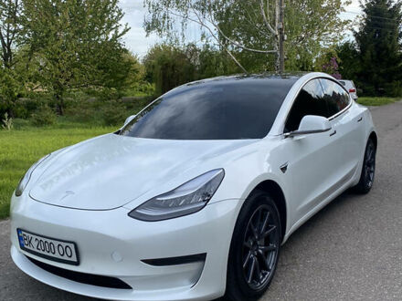 Тесла Модель 3 2019 в Ровно на Automoto.ua Белый Тесла Модель 3, объемом двигателя 0 л и пробегом 22 тыс. км за 37050 $, фото 1 на Automoto.ua