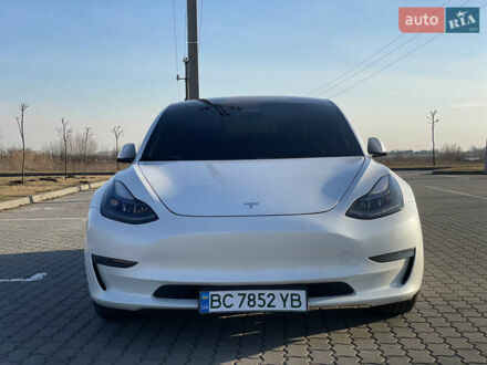 Тесла Модель 3 2021 в Городке на Automoto.ua Белый Тесла Модель 3, объемом двигателя 0 л и пробегом 53 тыс. км за 21200 $, фото 1 на Automoto.ua