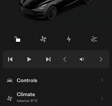 Черный Тесла Модель 3, объемом двигателя 0 л и пробегом 28 тыс. км за 25000 $, фото 16 на Automoto.ua