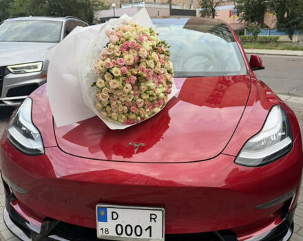 Красный Тесла Модель 3, объемом двигателя 0 л и пробегом 97 тыс. км за 19999 $, фото 22 на Automoto.ua