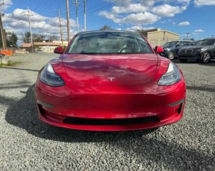 Красный Тесла Модель 3, объемом двигателя 0 л и пробегом 19 тыс. км за 6200 $, фото 1 на Automoto.ua