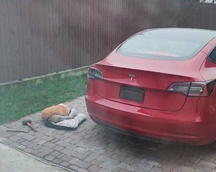 Красный Тесла Модель 3, объемом двигателя 0 л и пробегом 105 тыс. км за 15900 $, фото 3 на Automoto.ua