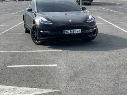 Тесла Модель 3 2019 у Львові на Automoto.ua Тесла Модель 3, об'ємом двигуна 0 л та пробігом 57 тис. км за 20500 $, фото 1 на Automoto.ua