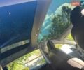 Сірий Тесла Модель 3, об'ємом двигуна 0 л та пробігом 116 тис. км за 16990 $, фото 14 на Automoto.ua